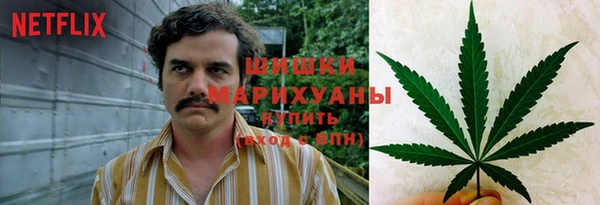 spice Алексеевка