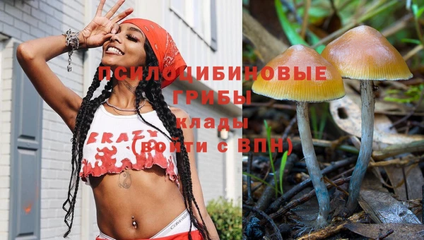 прущие крисы Алзамай