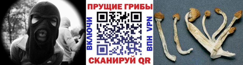 Псилоцибиновые грибы мухоморы  площадка официальный сайт  Ирбит 